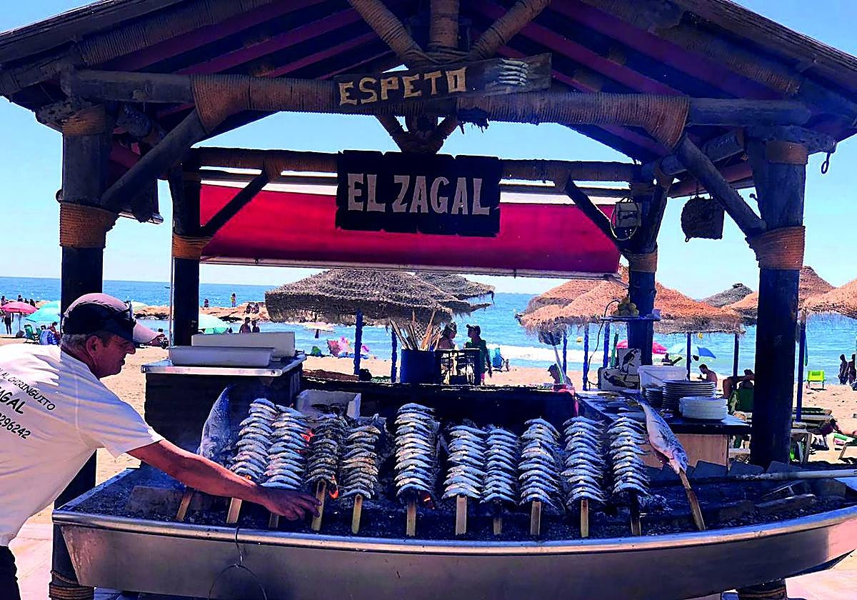 El Zagal Diario Sur El Zagal Diario Sur